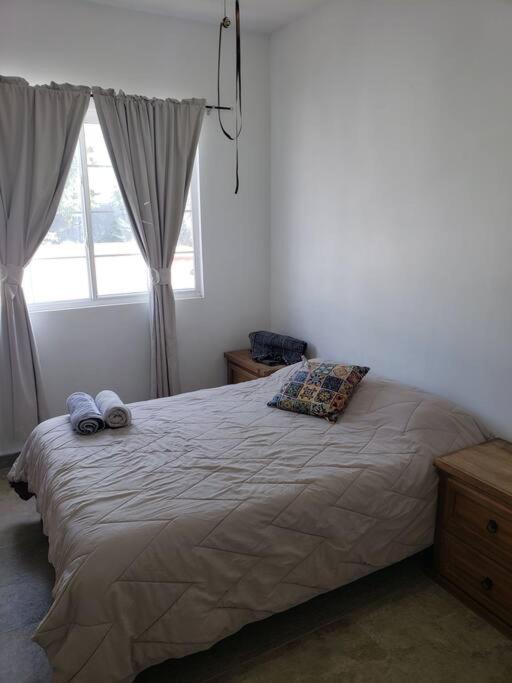Petit Y Comodo Loft En La Ciudad. Monterrey Eksteriør bilde